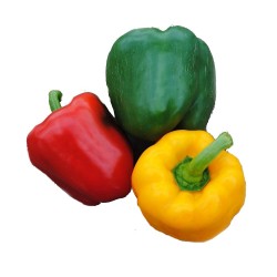 Mixed Bell Pepper Half kg (approx. 4 large pcs)