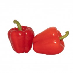 Red Bell Pepper Half kg (approx. 4 large pcs)