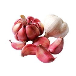 Garlic: small pack