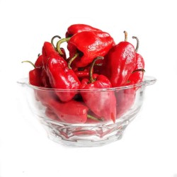 Tatase/tatashe pepper: 1kg